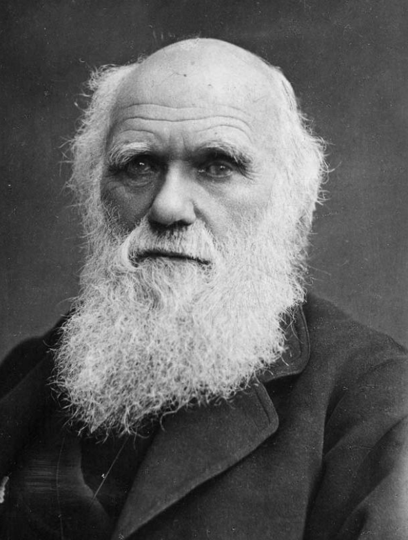Foto de Darwin